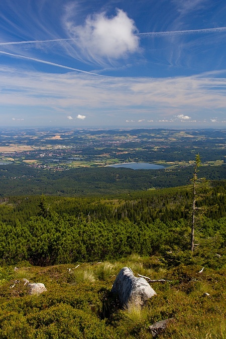 hřebenovka na Sněžku