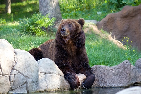 ZOO Brno