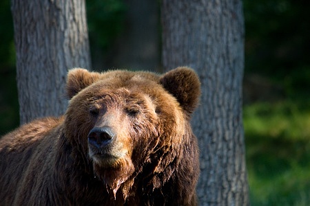 ZOO Brno