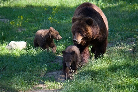 ZOO Brno