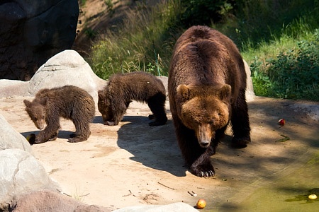 ZOO Brno