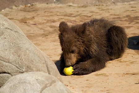 ZOO Brno