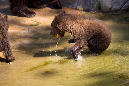 ZOO Brno