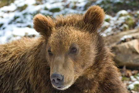 ZOO Brno