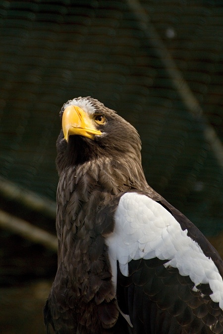 ZOO Brno