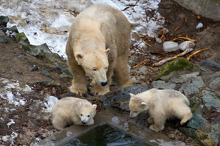 ZOO Brno