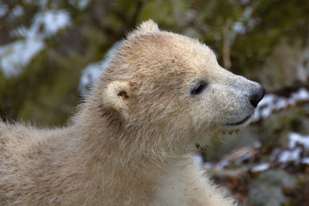 ZOO Brno