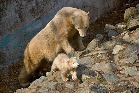 ZOO Brno